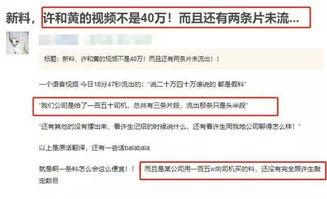 港媒爆料配图视频大全最新,最新爆料视频大全，带你直击现场！”